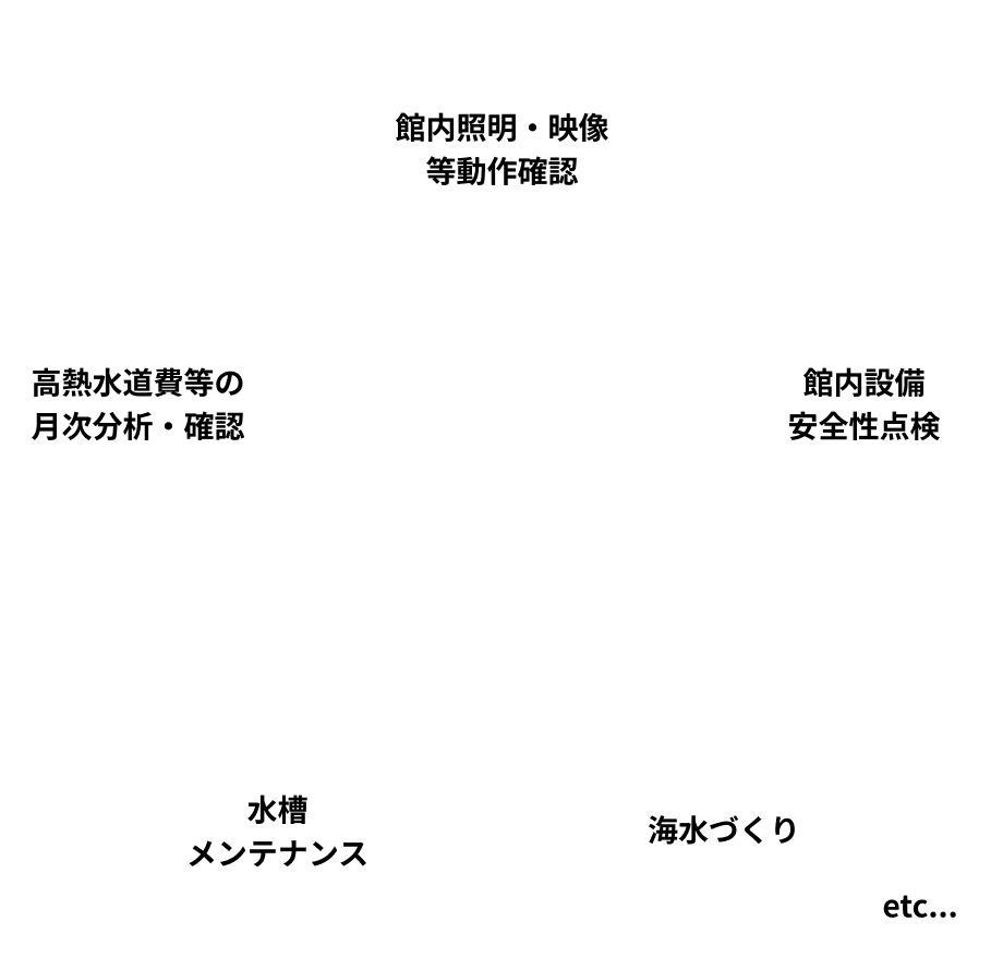 テクニカルサービス部スタッフ仕事内容：館内照明・映像等動作確認、館内設備安全性点検、海水づくり、水槽メンテナンス、高熱水道費等の月次分析・確認など